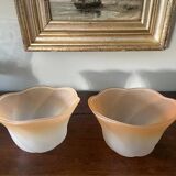 2 vintage frosted glass tulips