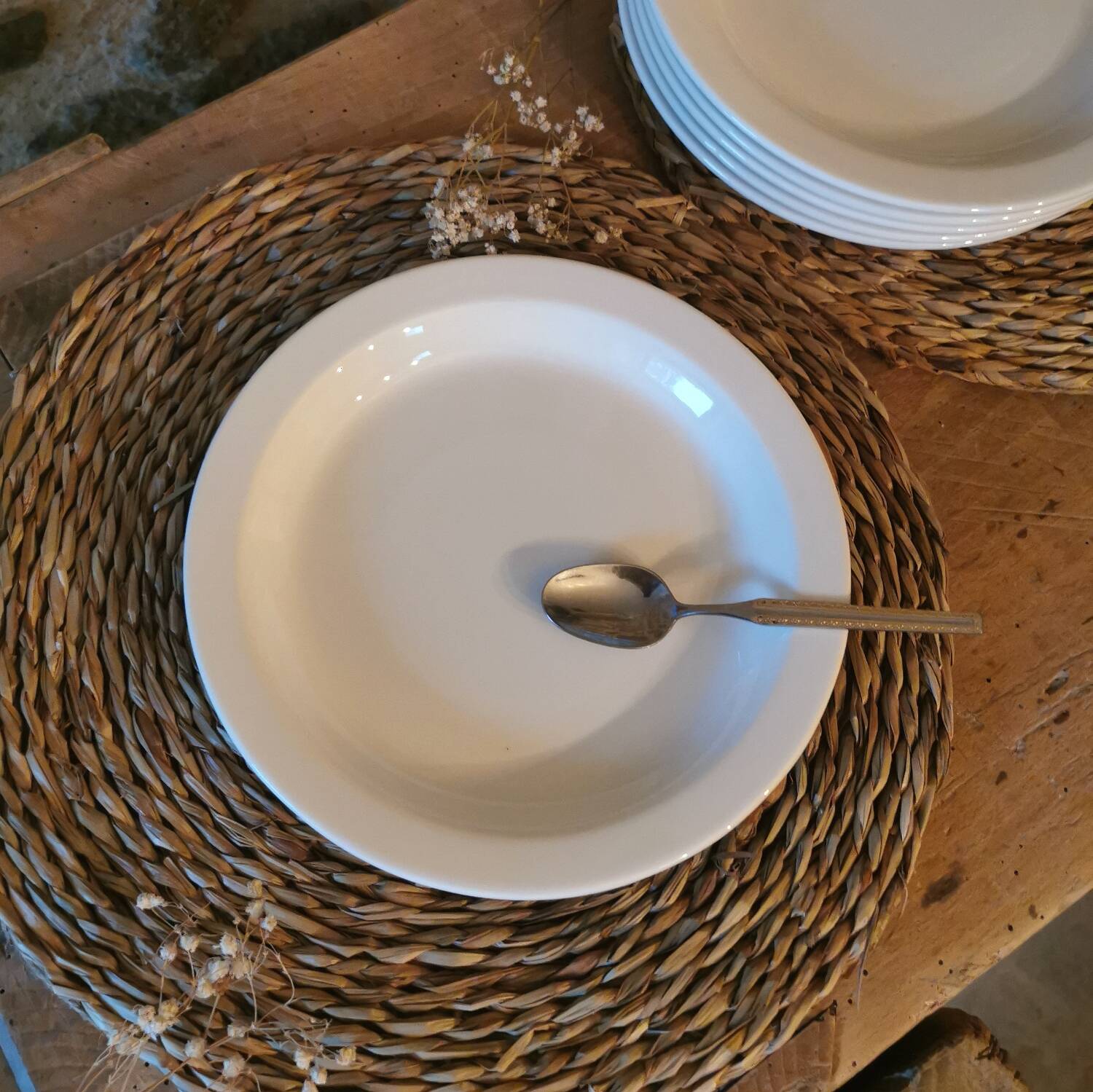 Vintage dessert plates, nesting set by Michel Hamon, Gien Prisunic