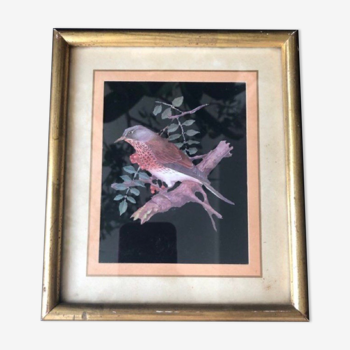 Frame / painting 50s, the bird décor