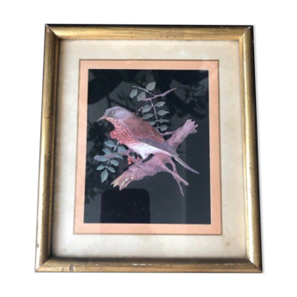 Frame / painting 50s, the bird décor