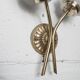 Pair of brass and glass wall lights 1960