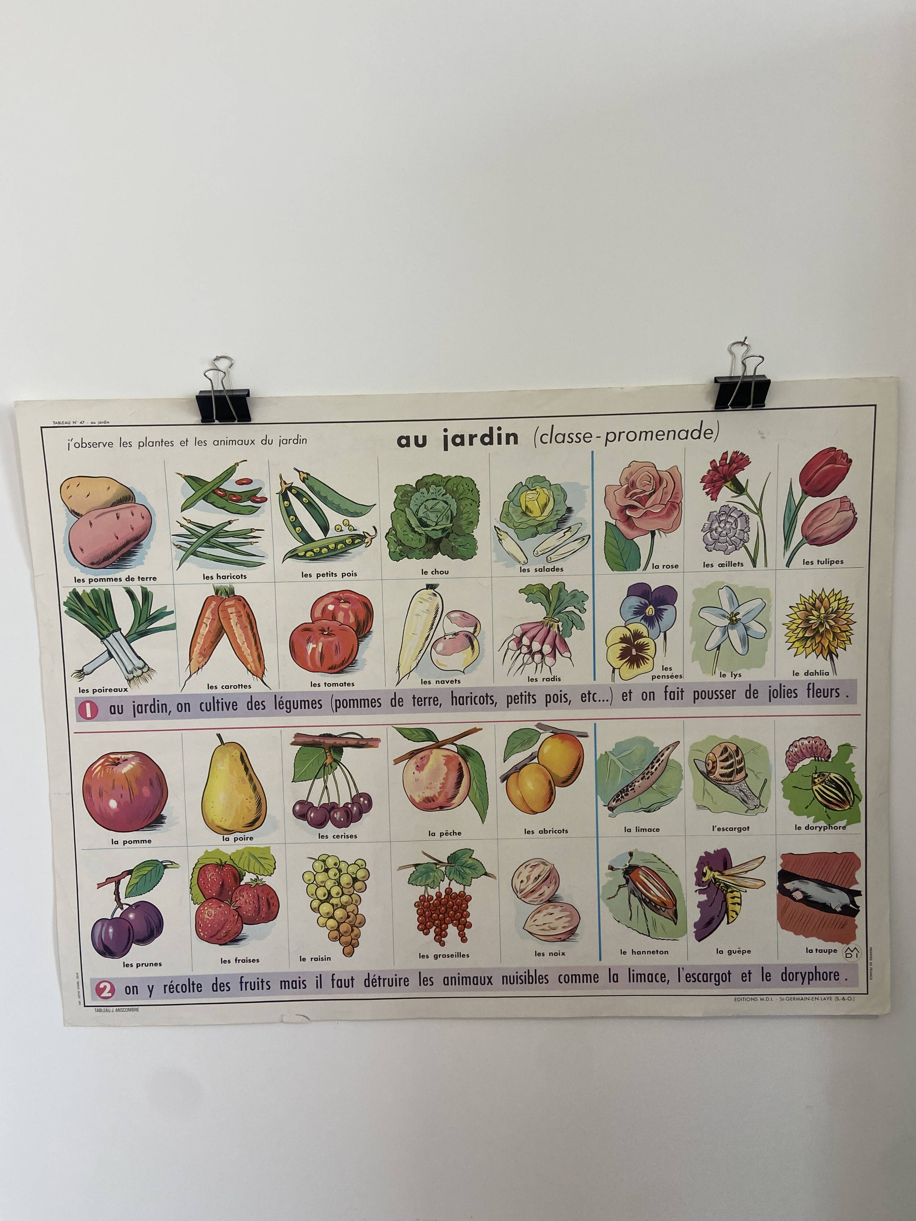 Vintage educational poster