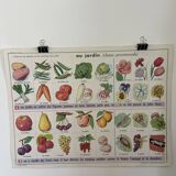 Vintage educational poster