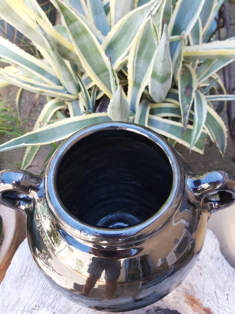 Biot glossy black potiche