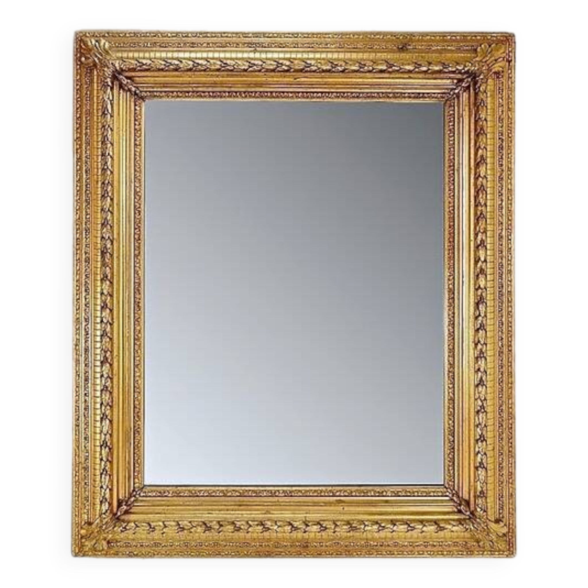 Large gilded wood and stucco mirror with foliage