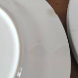 Ara plate set