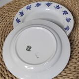 Dessert plates with blue leaves