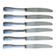 6 silver metal knives