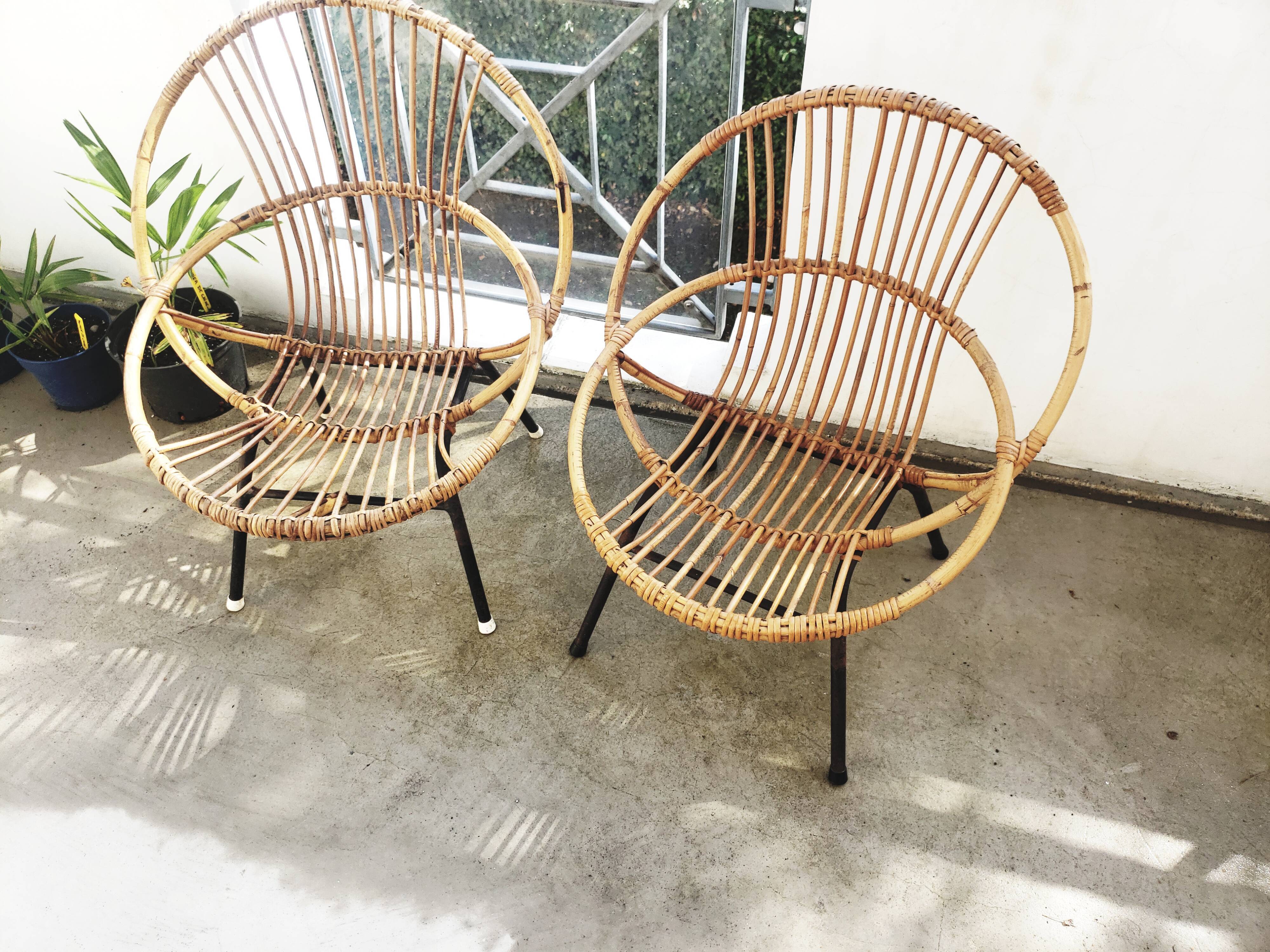 2 rattan shell armchairs, metal legs year 50