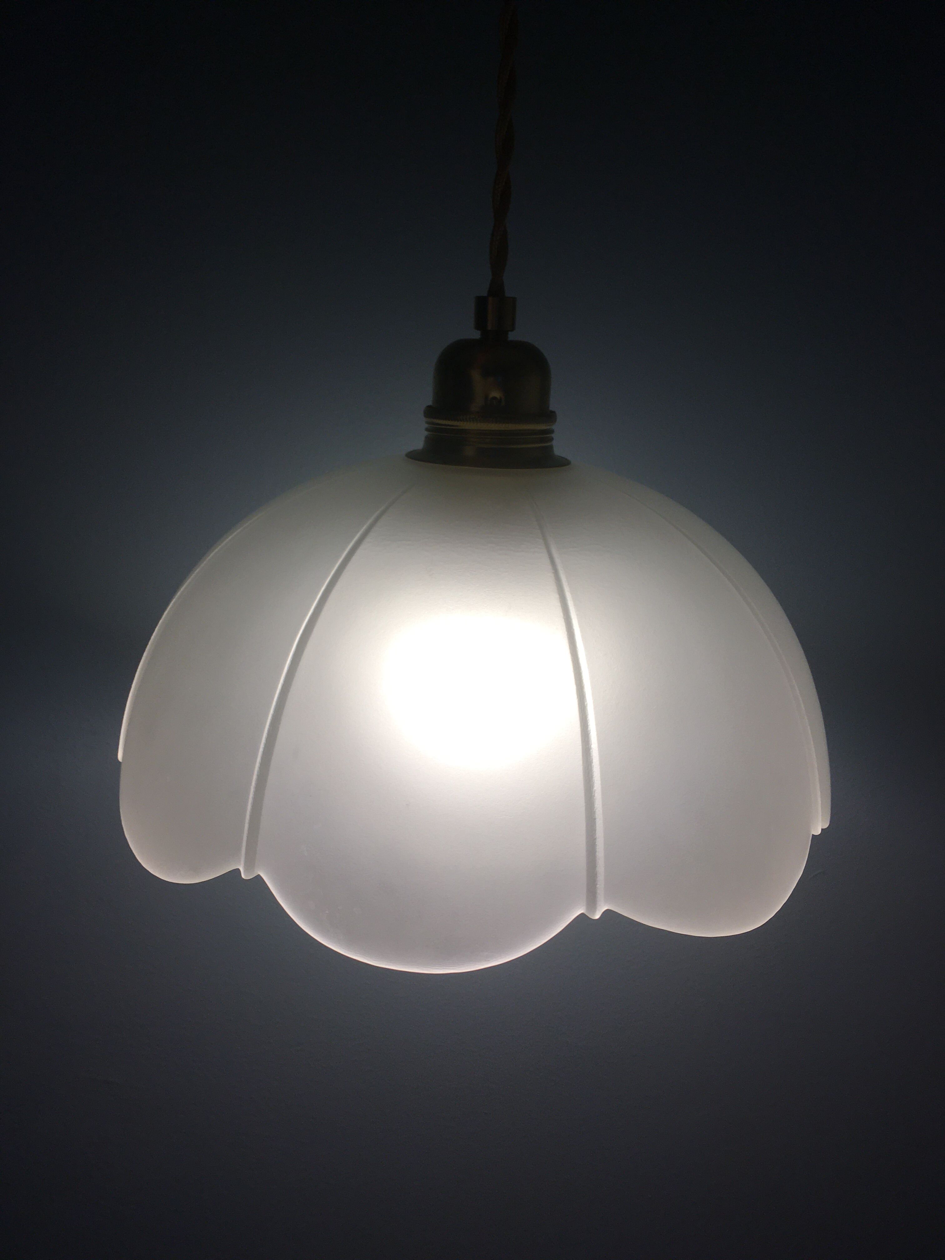 Vintage flower pendant lamp in frosted glass