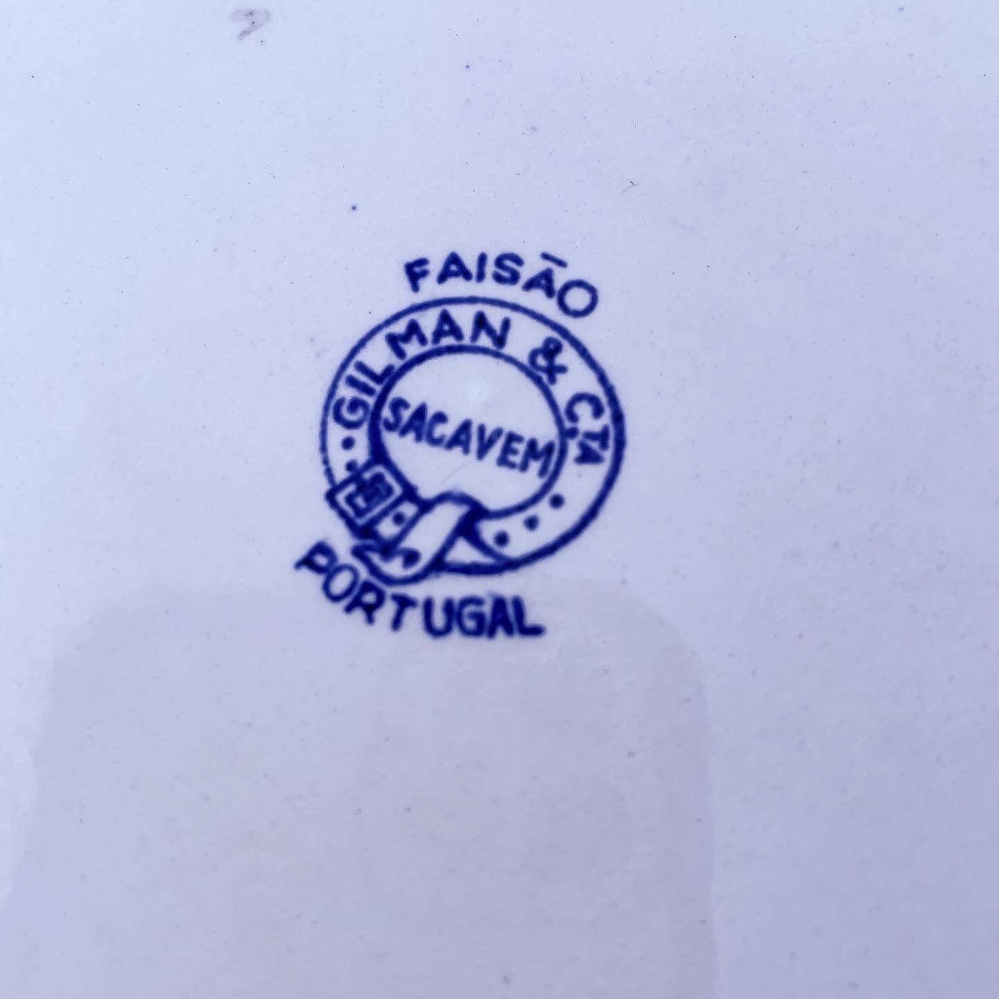 Duo of 2 flat plates Portuguese iron earth