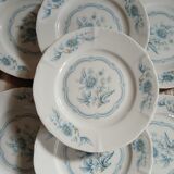 12 antique dessert plates in Chauvigny porcelain