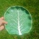 Vintage cabbage slipware plate