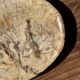 Small beige oval petrified wood dish or tray with crystals.