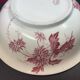 Broc toilet service and bowl in earthenware from gien "varied flowers & cactus