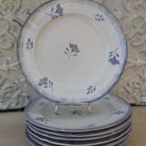 6 flat plates faience of Niderviller