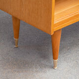 Vintage scandinavian library 1960