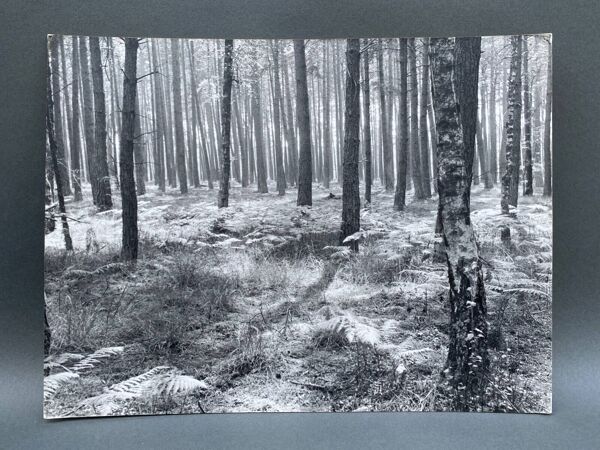 Photographie argentique Bernard Darot Fougères II Club Nantais AFIAP