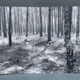 Film photography by Bernard Darot, Fougères II Club Nantais AFIAP