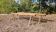 Pair of brutalist wooden benches – 70s design style