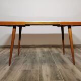 Coffee table by Jiri Jiroutek for Interier Praha, 1960s