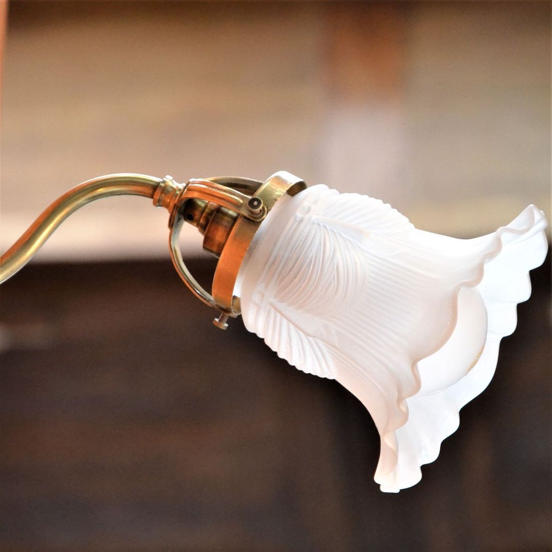 Brass gooseneck wall lamp and tulip lampshade