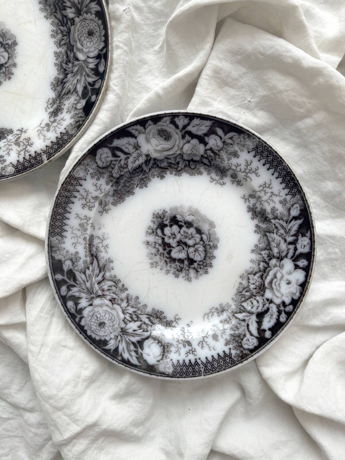 2 assiettes à dessert en terre de fer «Jardinière» U&C Sarreguemines