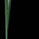 Single-stem vases made of flasks