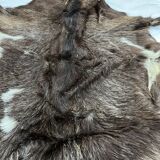 Goatskin