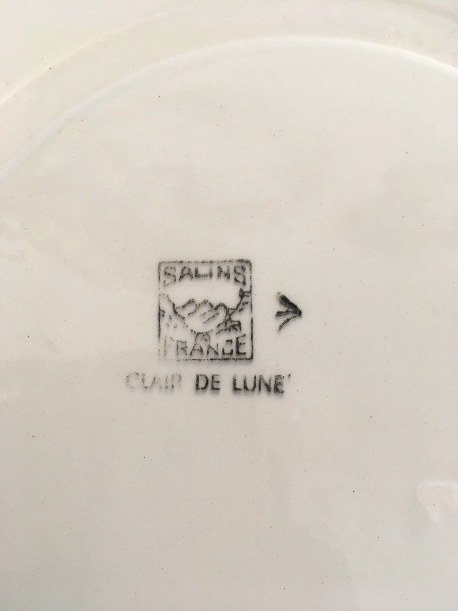 2 Vintage dishes in Salins earthenware service clear 50s