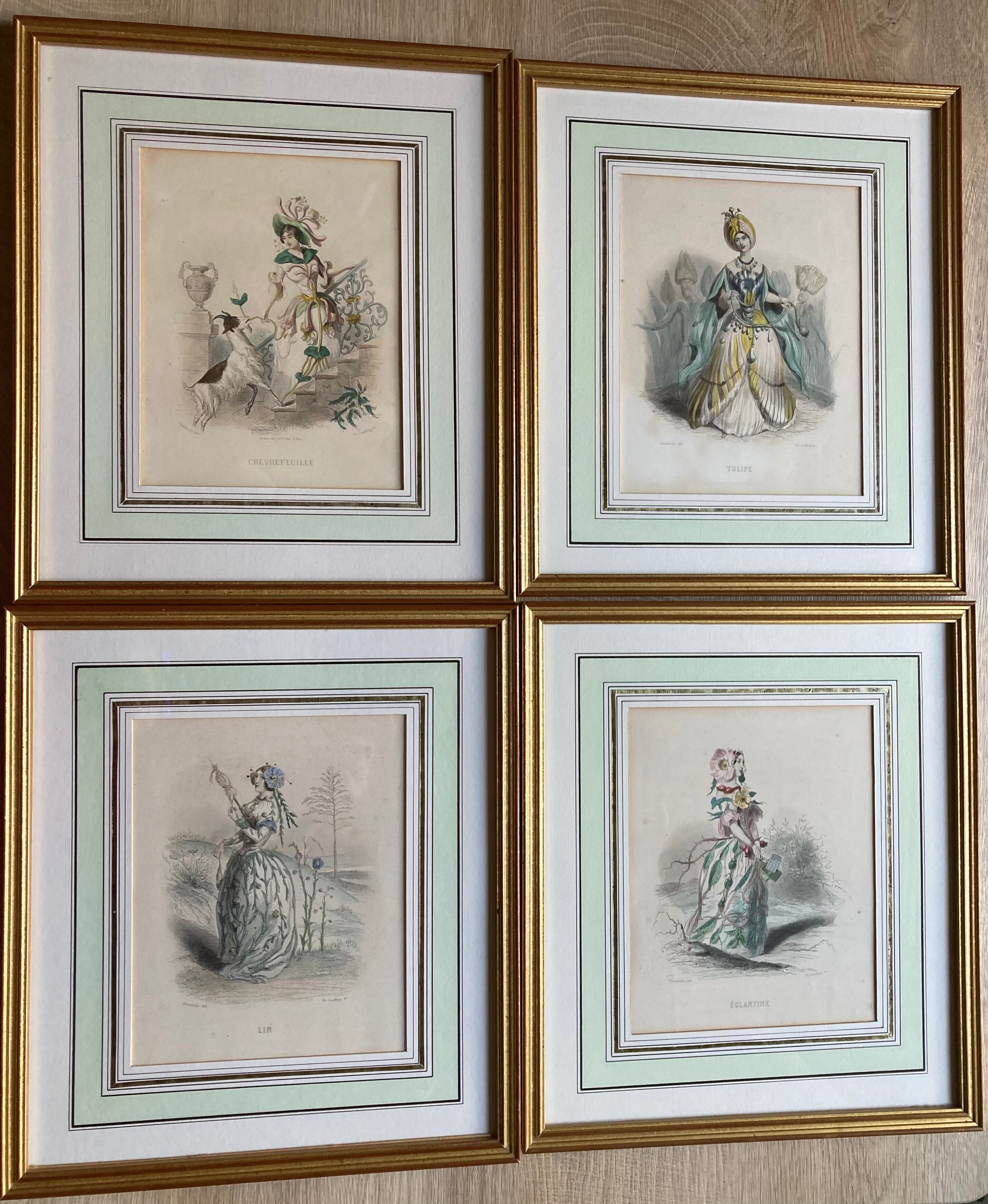 Framed engravings "animated flowers" - JJ Grandville