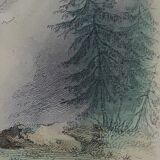 Original zoological plate " brown bear " - buffon 1840