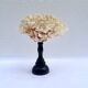 Corail blanc naturel ancien sur socle en bois tourné napoléon iii xixe cabinet de curiosités
