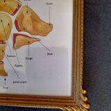 Antique rectangular gilded frame