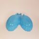 Saleron / blue opaline servant