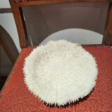 Large white coral