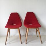 Midcentury hungarian chairs, side chairs by Judit Burian and Erika Szek, 1950s