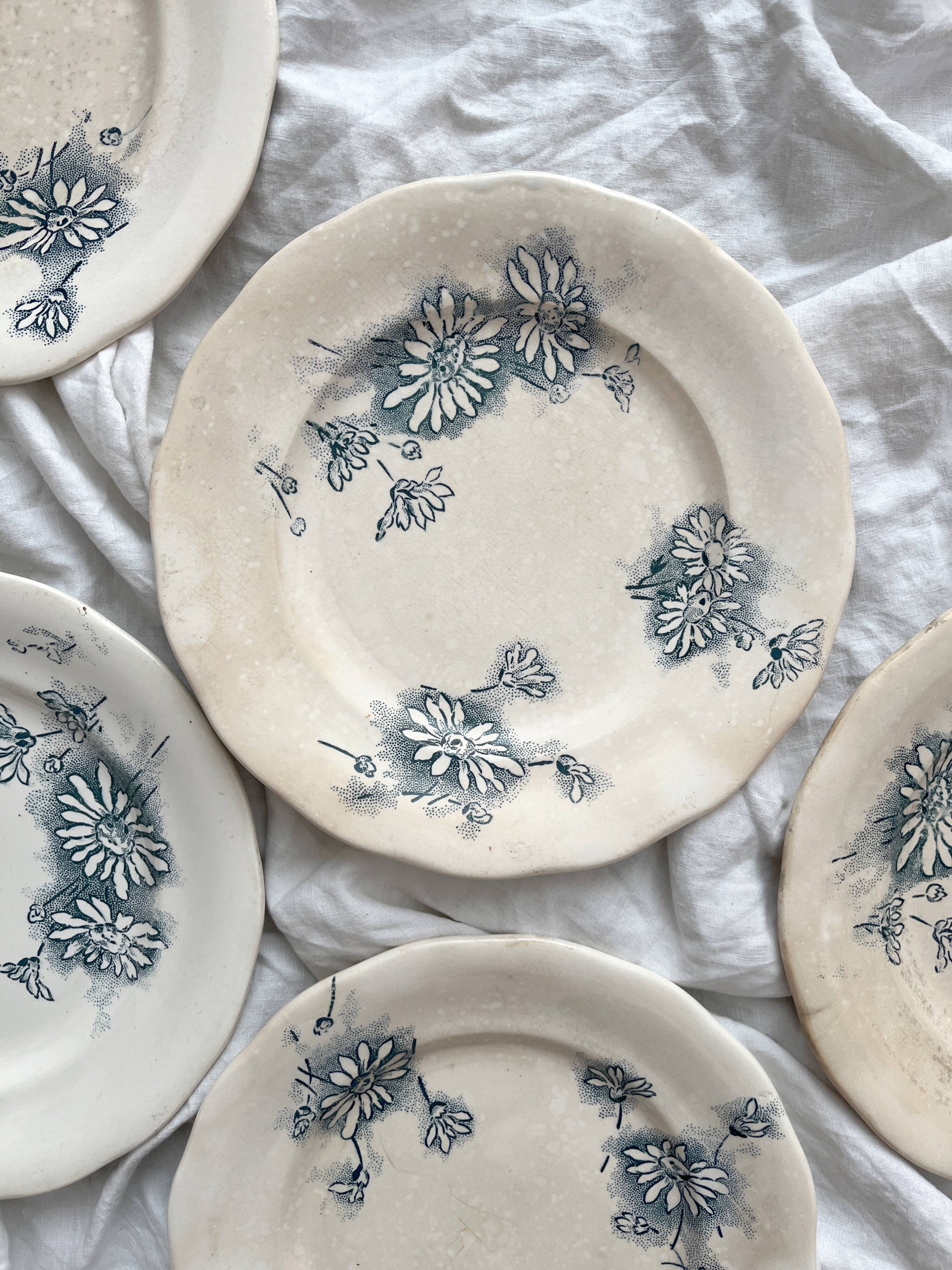 7 "Marguerite" ironstone dessert plates from the Nouvelle Givors pottery factory