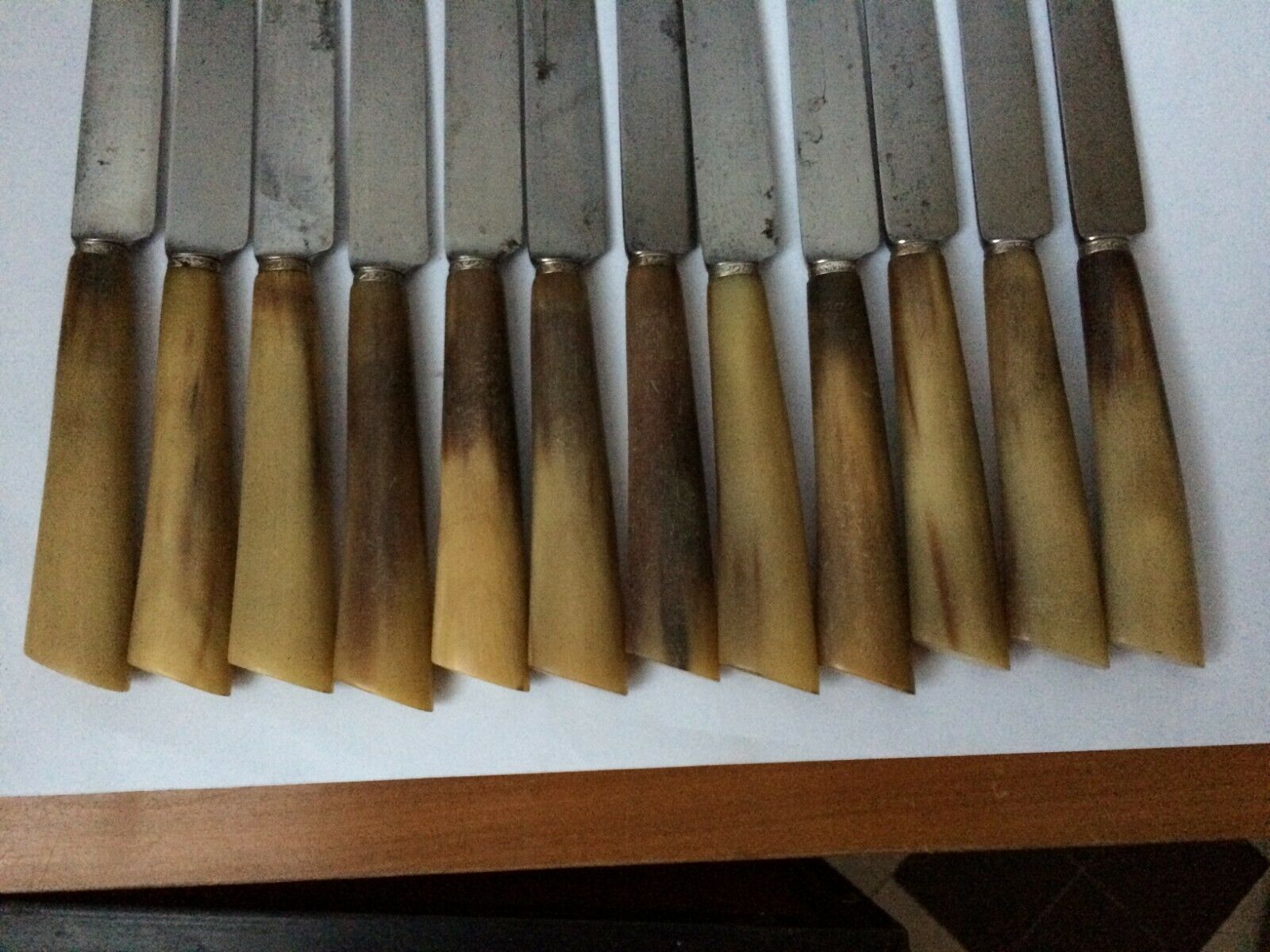 Set of 12 large knives and 11 horn and steel dessert knives