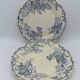 Lot assiettes Choisy le Roi