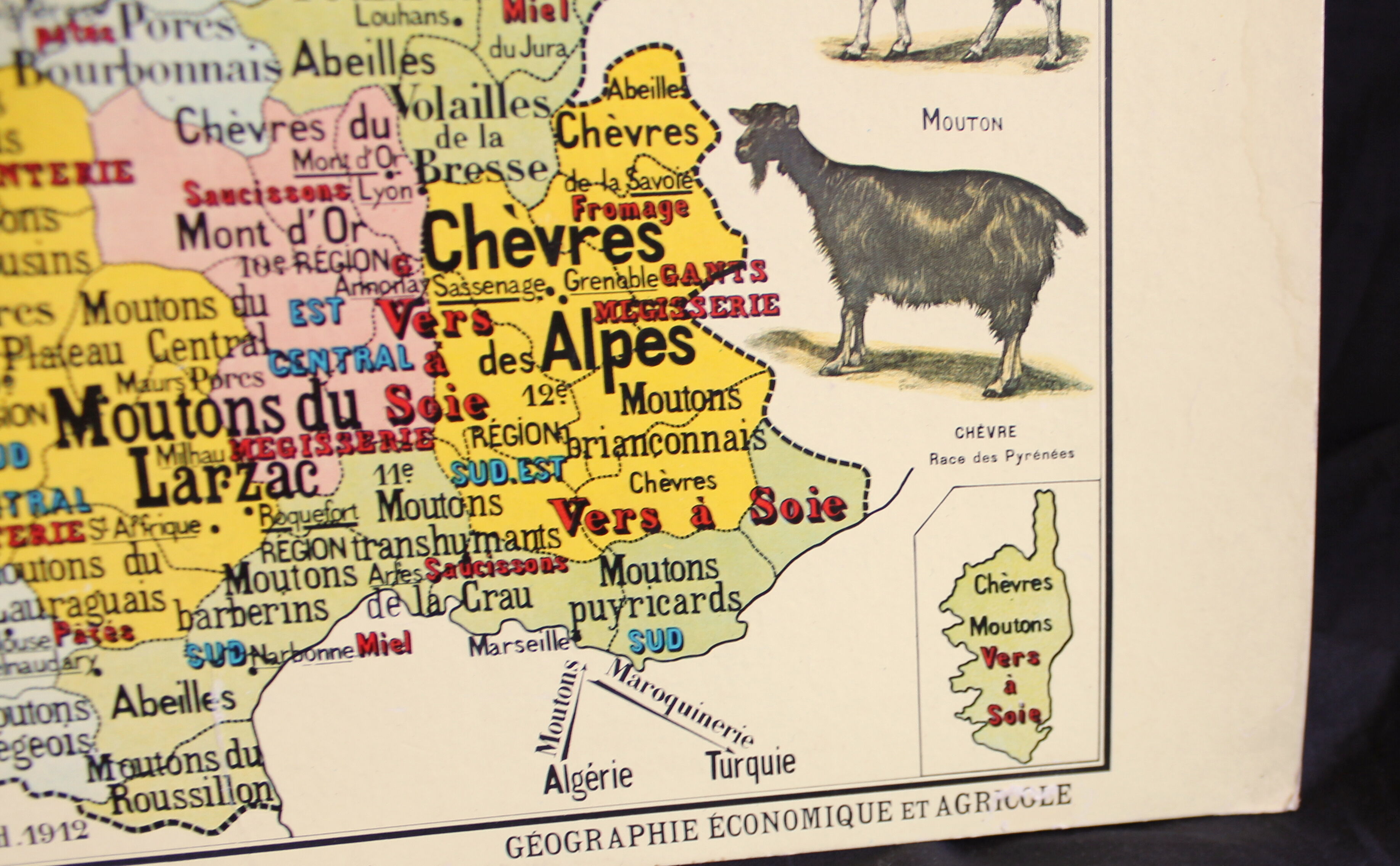 Vintage poster "Domestic animals"