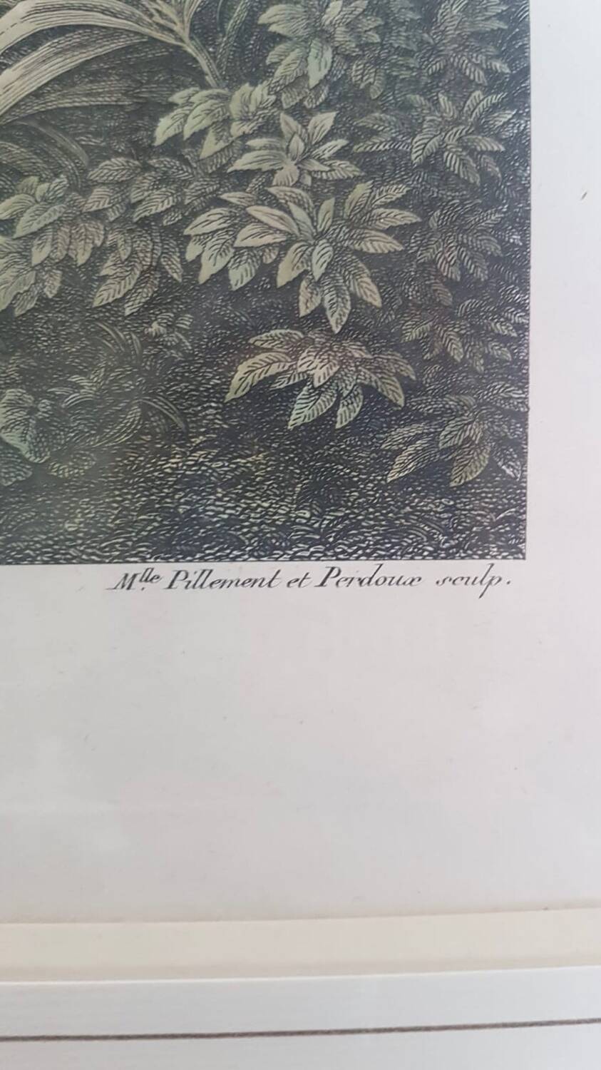 Old Color Lithograph “Roman Aqueduct Fréjus” + Black Wood Frame #A686