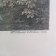 Old Color Lithograph “Roman Aqueduct Fréjus” + Black Wood Frame #A686