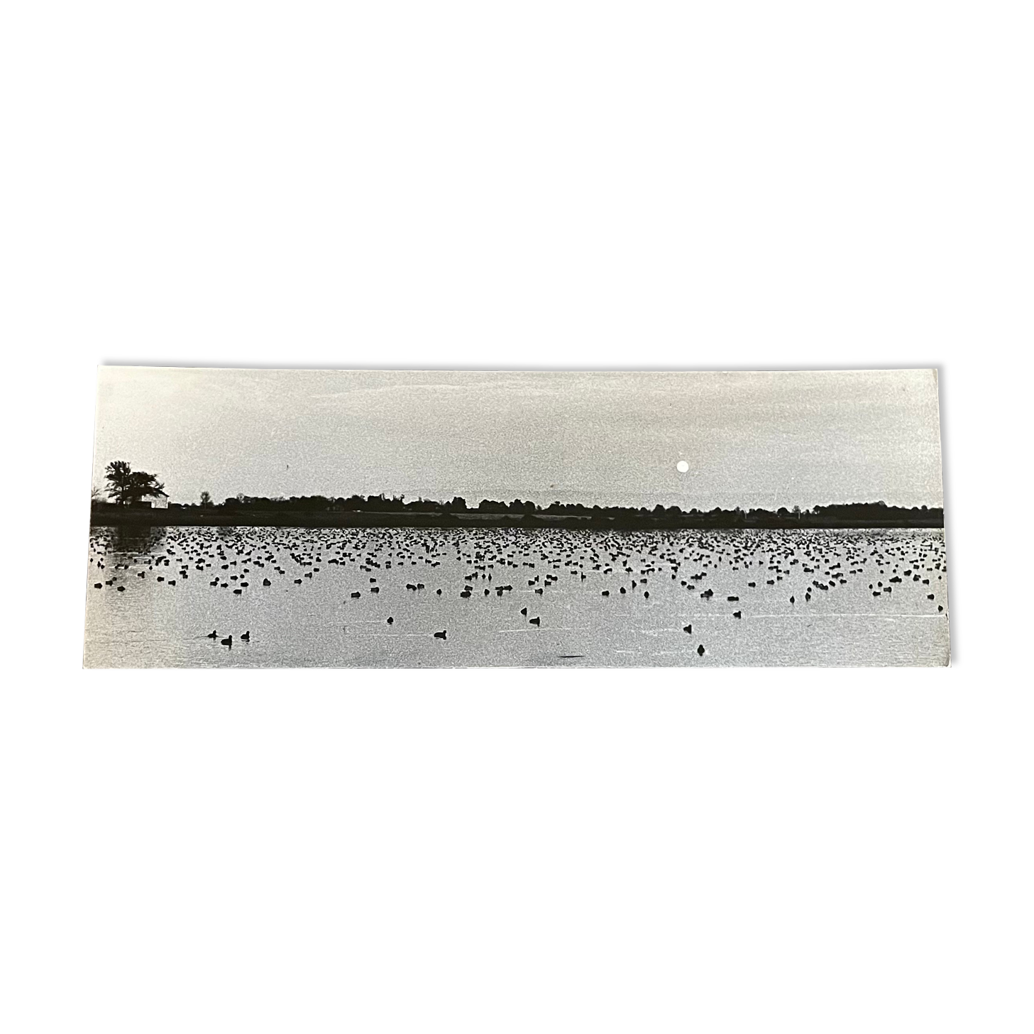 Photography silver print black and white circa 1970 sunset