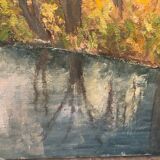 Forest landscape and its stream