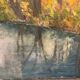 Forest landscape and its stream
