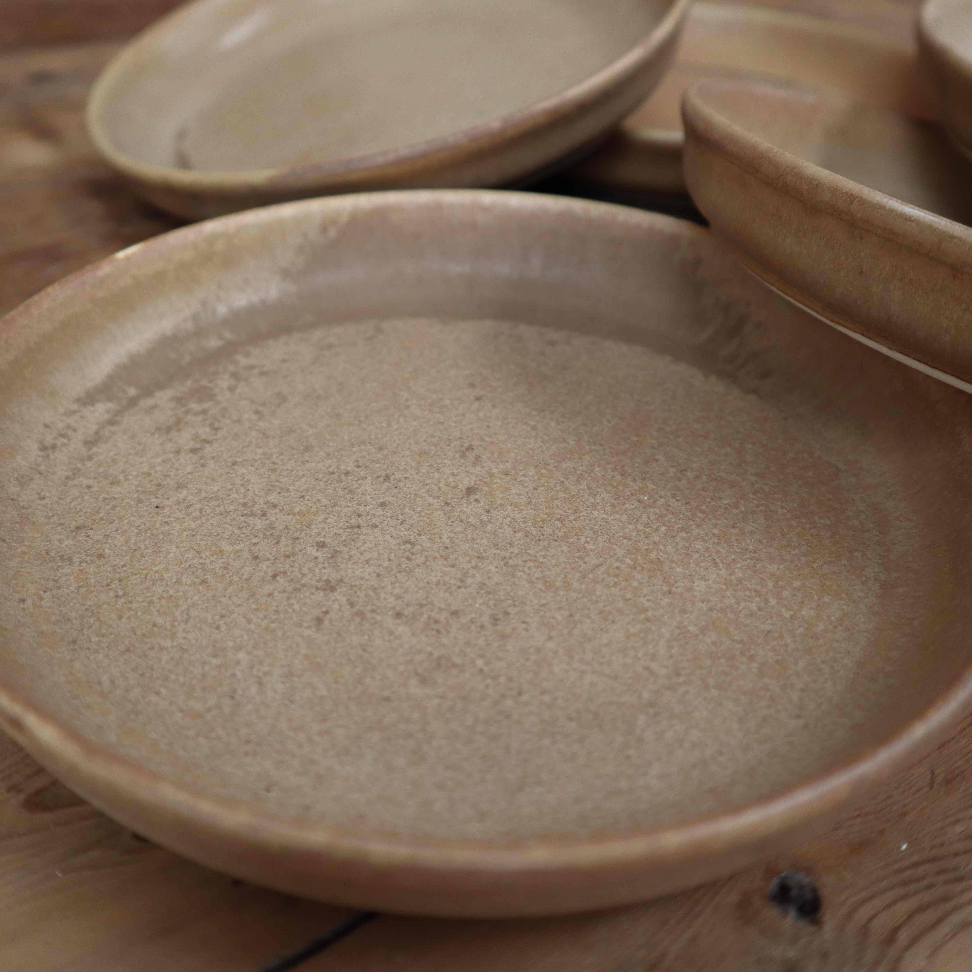 6 stoneware rimmed dinner plates