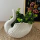 Italian Swan Gardener