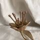 Brass flower, ashtray petals from the 60s-70s.