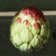 Pair of salt and pepper shakers in earthenware, artichokes
